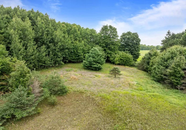 3rd image of Parcel A E Lavassar Rd, Lake Leelanau, MI 49653 | MLS# 80072277