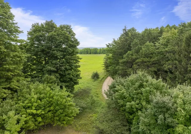 4th image of Parcel A E Lavassar Rd, Lake Leelanau, MI 49653 | MLS# 80072277