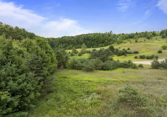 5th image of Parcel A E Lavassar Rd, Lake Leelanau, MI 49653 | MLS# 80072277