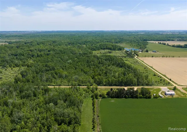Homes for sale in Snover, MI | Parcel C Freiburger Rd, Snover, MI 48472 | MLS# 61001796