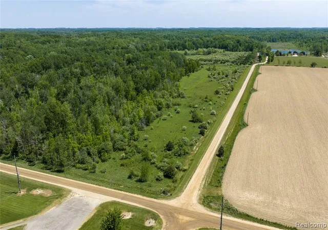 Homes for sale in Snover, MI | Parcel C Freiburger Rd, Snover, MI 48472 | MLS# 61001796