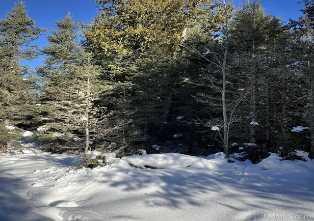 Photo 24 of Single family home for sale at Tbd Cable Lake Rd, Crystal Falls, MI 49920 | MLS# 50196485 | Listing updated on 2026-03-31