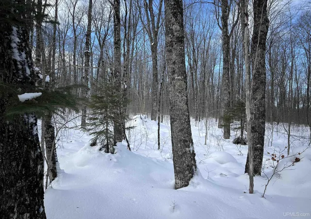 Photo 2 of House for sale at Tbd Cable Lake Rd, Crystal Falls, MI 49920 | MLS# 50196485 | Listing updated on 2026-03-31