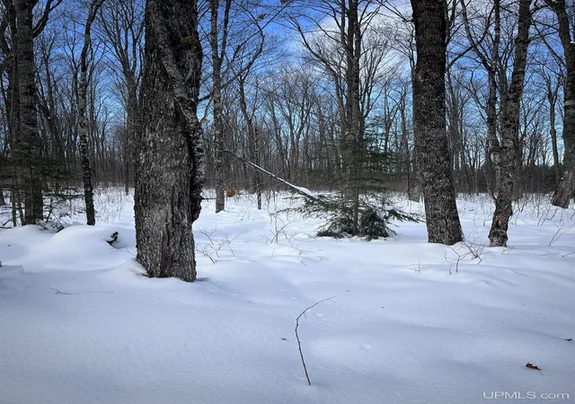 Photo 3 of House for sale at Tbd Cable Lake Rd, Crystal Falls, MI 49920 | MLS# 50196485 | Listing updated on 2026-03-31