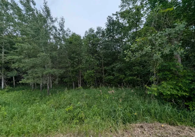 Homes for sale in Turner, MI | N/a Shenfield Rd, Turner, MI 48765 | MLS# 80070411