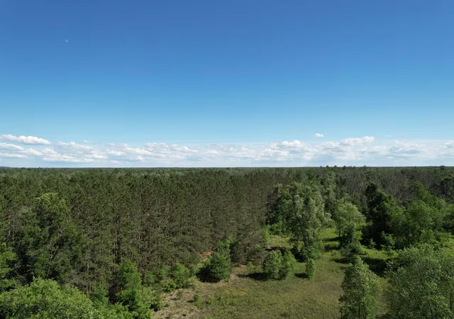 Photo 2 of Land for sale at 12808 M 115, Marion, MI 49665 | MLS# 80072245 | Listing updated on 2026-08-15