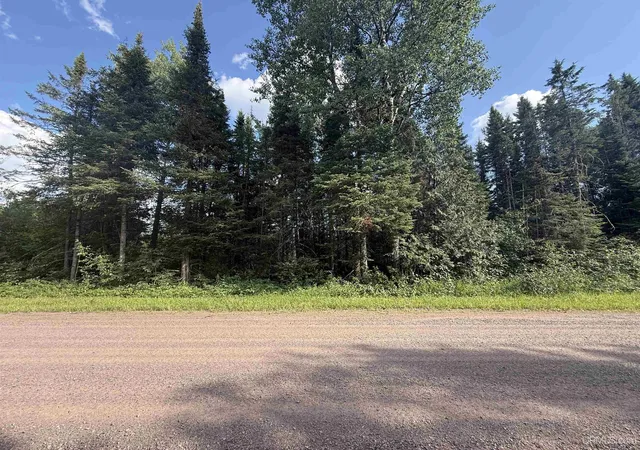Homes for sale in Marenisco, MI | Tbd Dunham Rd, Marenisco, MI 49947 | MLS# 50214541