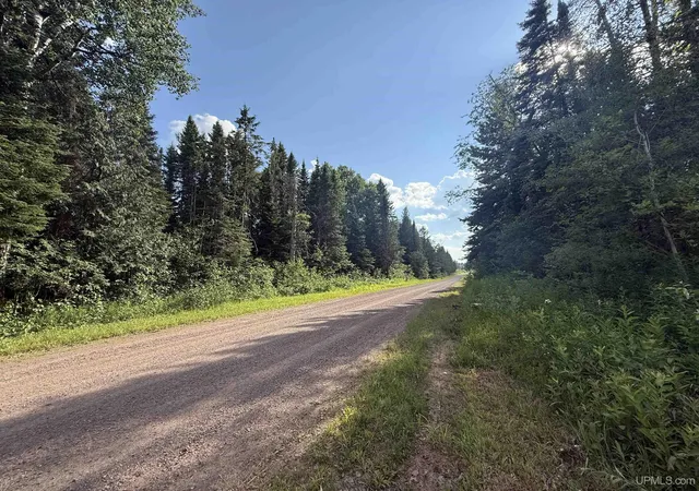 Homes for sale in Marenisco, MI | Tbd Dunham Rd, Marenisco, MI 49947 | MLS# 50214541