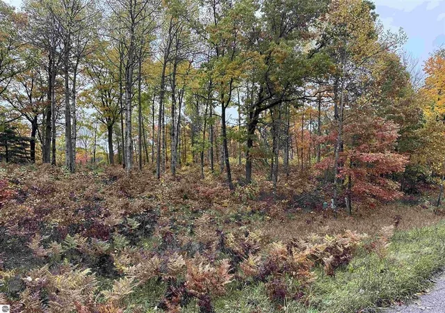 Homes for sale in Farwell, MI | Lot # 5 N Circle E Dr, Farwell, MI 48622 | MLS# 50197006