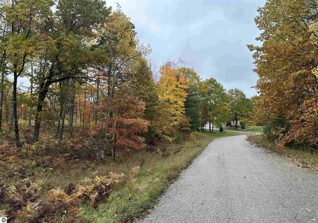Homes for sale in Farwell, MI | Lot # 5 N Circle E Dr, Farwell, MI 48622 | MLS# 50197006
