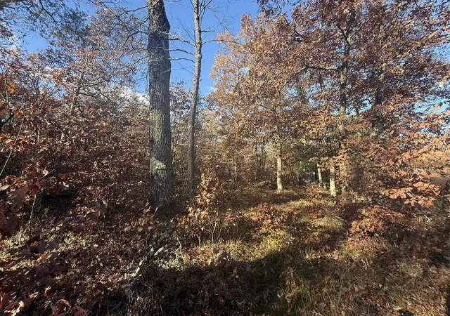 5th image of 3544 S Cornell Ave, Baldwin, MI 49304 | MLS# 70507201