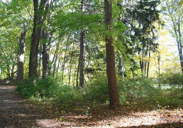 1st image of 246 Webster Ave, South Haven, MI 49090 | MLS# 70490634