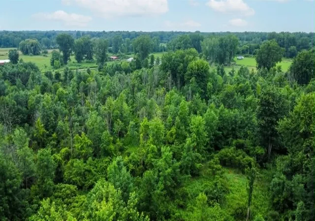 4th image of 60196 County Road 376, Bangor, MI 49013 | MLS# 70544589