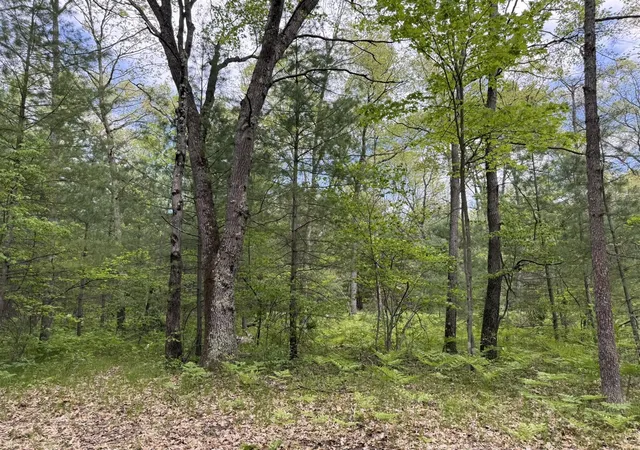 Homes for sale in Wellston, MI | Harris Rd, Wellston, MI 49689 | MLS# 70535417