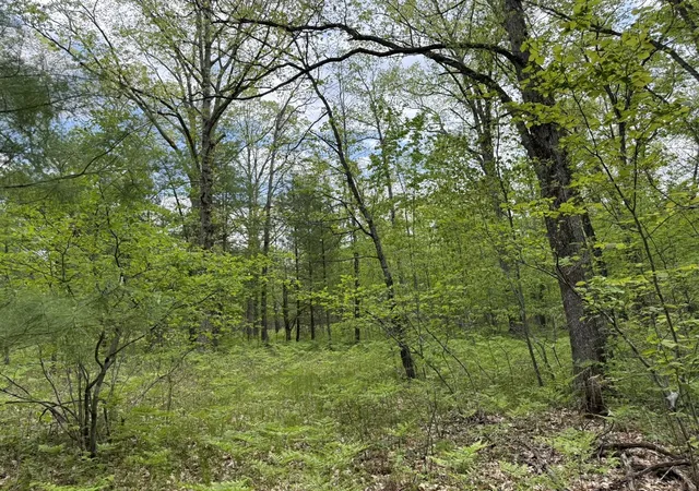Homes for sale in Wellston, MI | Harris Rd, Wellston, MI 49689 | MLS# 70535417