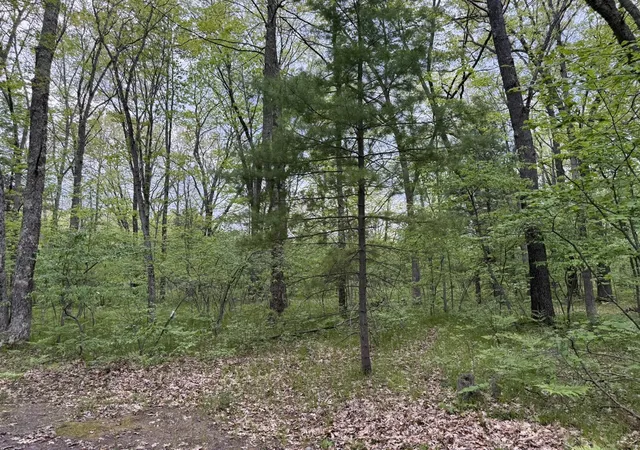 Homes for sale in Wellston, MI | Harris Rd, Wellston, MI 49689 | MLS# 70535417