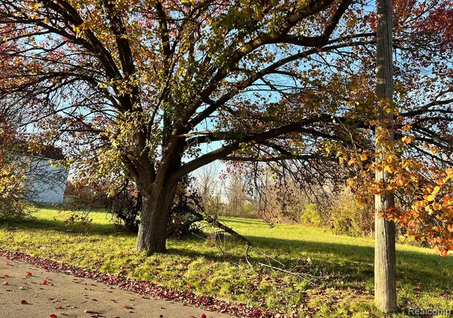 Photo 3 of Land for sale at 3967 17th St, Detroit, MI 48208 | MLS# 60300765 | Listing updated on 2026-08-20
