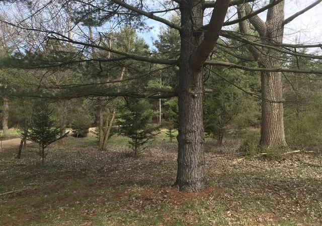 3rd image of Lot 2 Creekwood Dr, South Haven, MI 49090 | MLS# 70525534