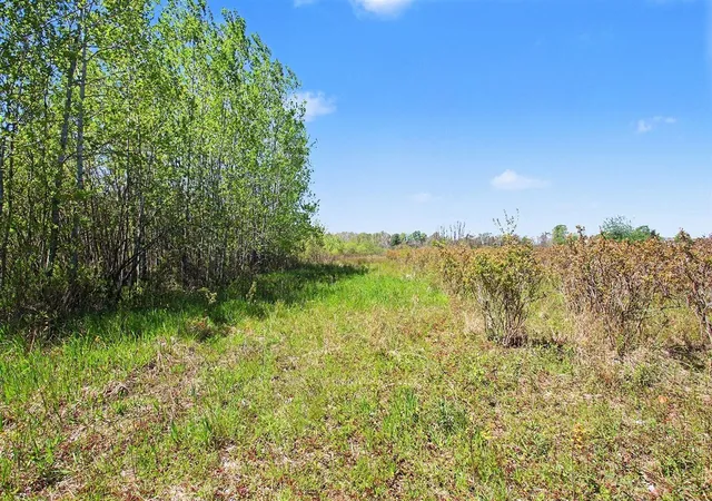 4th image of 61199 County Road 380, Bangor, MI 49013 | MLS# 70511599