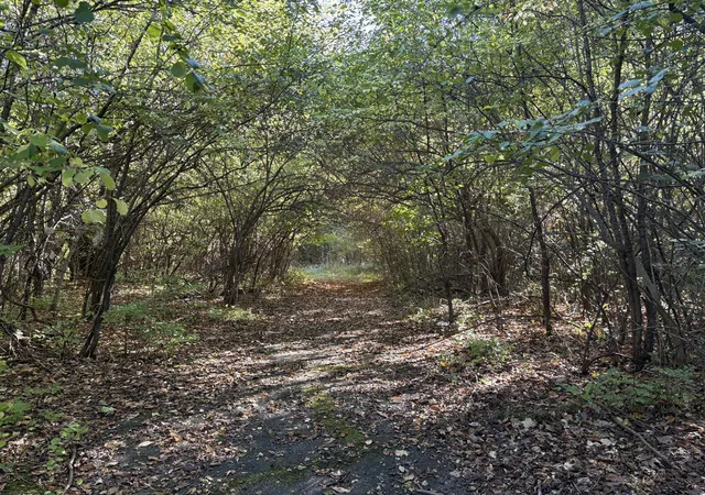 Photo 1 of Land for sale at Vl 69 Clinton Way, Jackson, MI 49201 | MLS# 70499308 | Listing updated on 2025-11-11