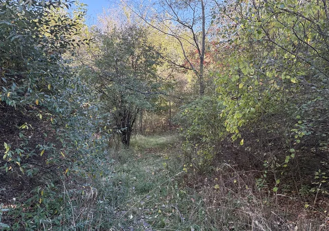 Photo 2 of Land for sale at Vl 69 Clinton Way, Jackson, MI 49201 | MLS# 70499308 | Listing updated on 2025-11-11