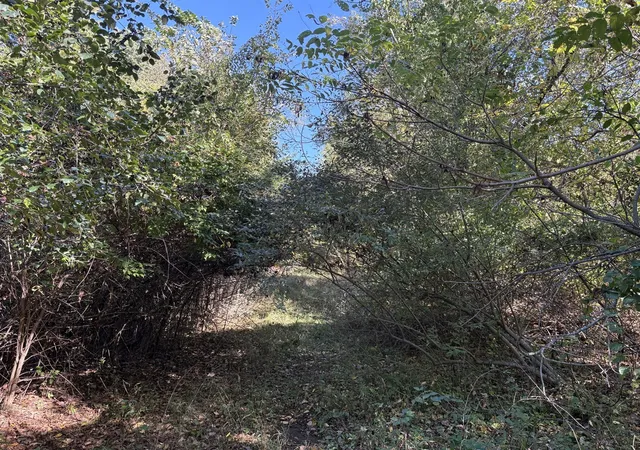 Photo 3 of Land for sale at Vl 69 Clinton Way, Jackson, MI 49201 | MLS# 70499308 | Listing updated on 2025-11-11