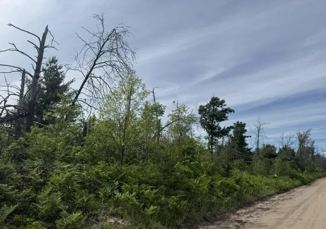 Homes for sale in Idlewild, MI | Parcel 3 Nelson Rd, Idlewild, MI 49642 | MLS# 70536520