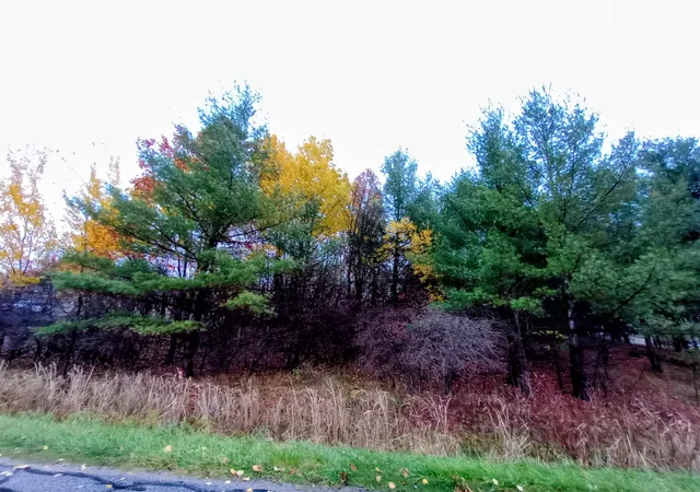 Land for sale at Lot 262 Islander Way, Gladwin, MI 48624 | MLS# 50193663