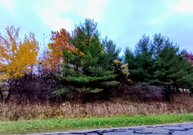 Photo 2 of Land for sale at Lot 262 Islander Way, Gladwin, MI 48624 | MLS# 50193663 | Listing updated on 2026-09-08