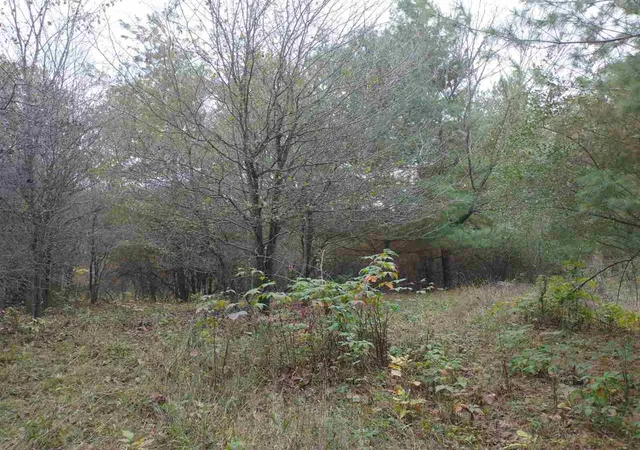 Photo 3 of Land for sale at Lot 262 Islander Way, Gladwin, MI 48624 | MLS# 50193663 | Listing updated on 2026-09-08