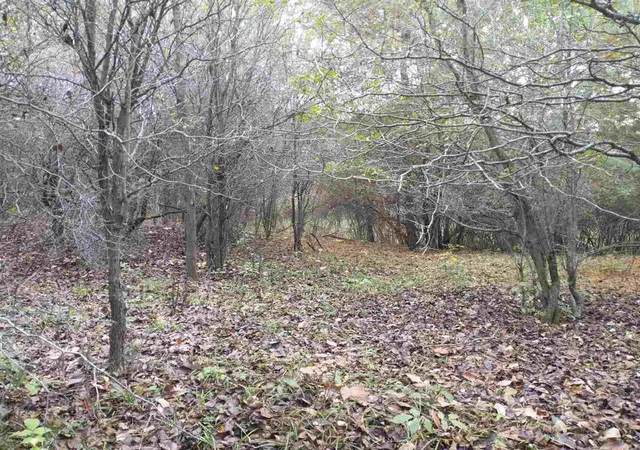 Photo 4 of Land for sale at Lot 262 Islander Way, Gladwin, MI 48624 | MLS# 50193663 | Listing updated on 2026-09-08