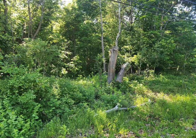 Homes for sale in Calumet, MI | Tbd 135 Eleventh St, Calumet, MI 49913 | MLS# 50208749