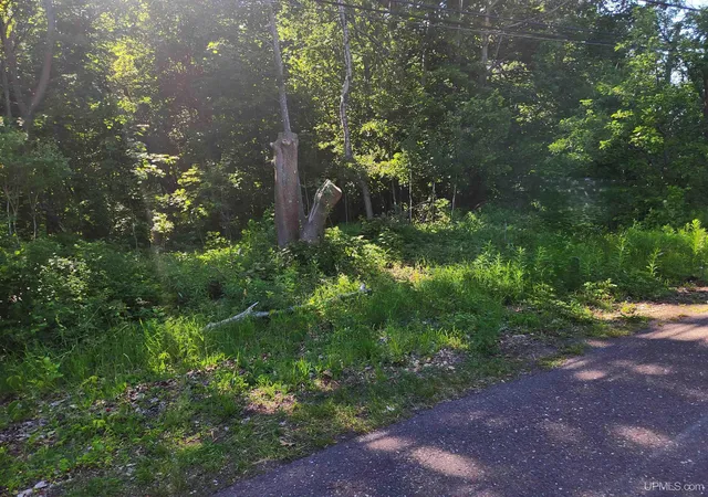 Homes for sale in Calumet, MI | Tbd 135 Eleventh St, Calumet, MI 49913 | MLS# 50208749