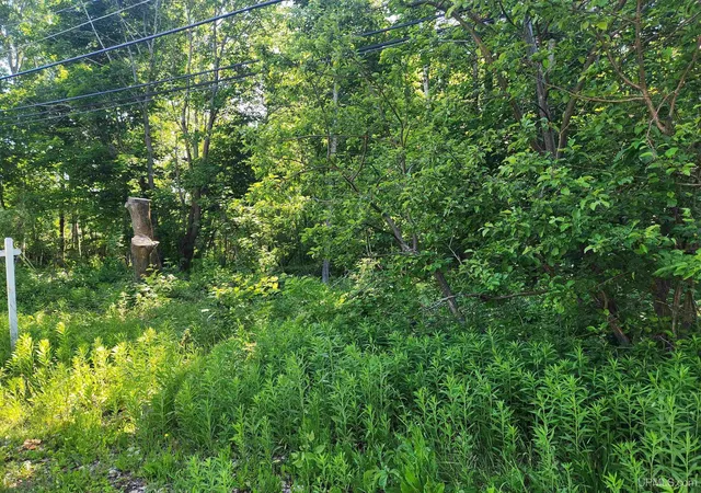Homes for sale in Calumet, MI | Tbd 135 Eleventh St, Calumet, MI 49913 | MLS# 50208749