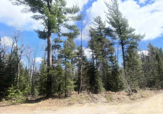 Photo 2 of Land for sale at 480 Acres Off Cr Aaa Rd, Michigamme, MI 49861 | MLS# 50141642 | Listing updated on 2026-08-24