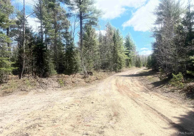 Photo 4 of Land for sale at 480 Acres Off Cr Aaa Rd, Michigamme, MI 49861 | MLS# 50141642 | Listing updated on 2026-08-24