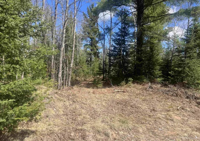 Photo 5 of Land for sale at 480 Acres Off Cr Aaa Rd, Michigamme, MI 49861 | MLS# 50141642 | Listing updated on 2026-08-24