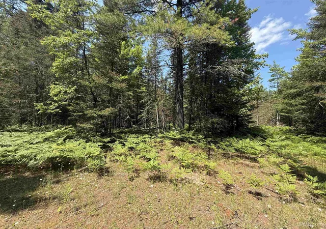1st image of Tbd Tall Timber Trl, Lake Linden, MI 49945 | MLS# 50214734