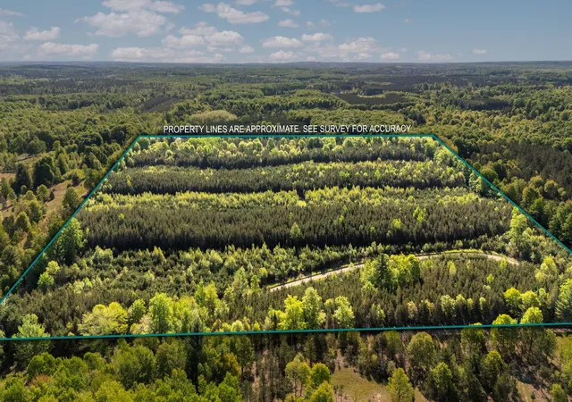 1st image of Lot D 831 Acre Lake, Fife Lake, MI 49633 | MLS# 80070631