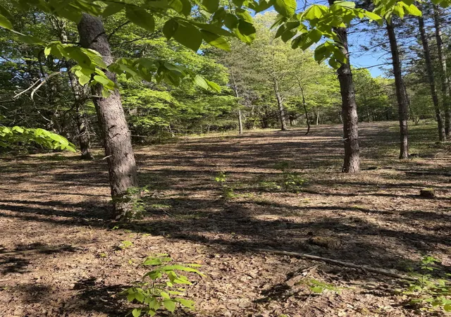 14th image of Lot D 831 Acre Lake, Fife Lake, MI 49633 | MLS# 80070631