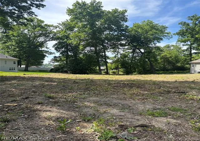 1st image of 0 Kovacs Dr, Linden, MI 48451 | MLS# 60966822