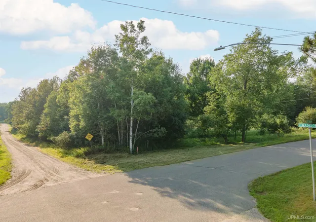Homes for sale in Iron River, MI | Tbd W Madison St, Iron River, MI 49935 | MLS# 50185270
