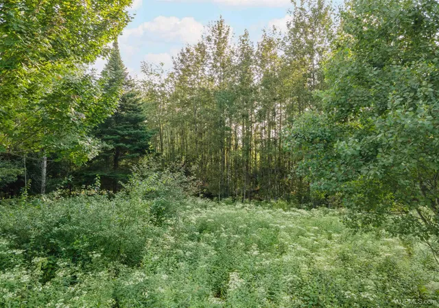 Homes for sale in Iron River, MI | Tbd W Madison St, Iron River, MI 49935 | MLS# 50185270