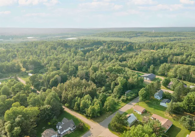 Homes for sale in Iron River, MI | Tbd W Madison St, Iron River, MI 49935 | MLS# 50185270