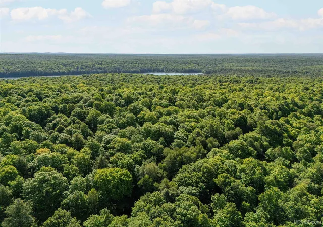 Photo 5 of Land for sale at Lot 8 Smoky Lake Dr, Iron River, MI 49935 | MLS# 50217499 | Listing updated on 2026-08-11