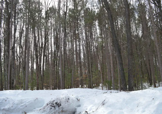 2nd image of 773 Golf Side Dr, Kalkaska, MI 49646 | MLS# 80065973