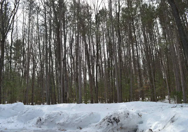 3rd image of 773 Golf Side Dr, Kalkaska, MI 49646 | MLS# 80065973