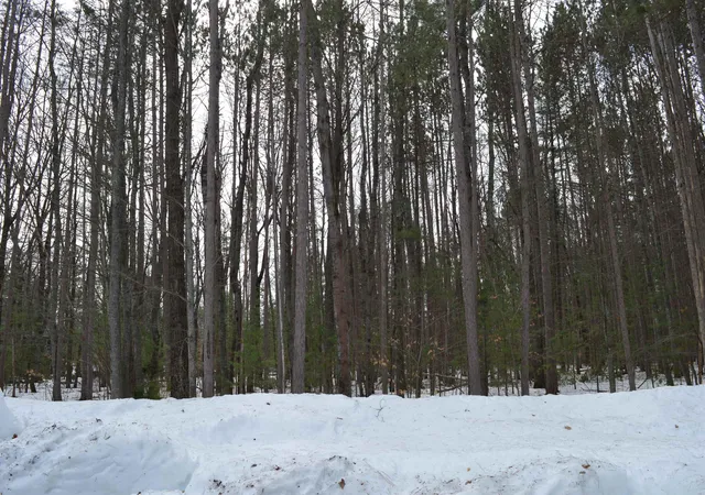 4th image of 773 Golf Side Dr, Kalkaska, MI 49646 | MLS# 80065973