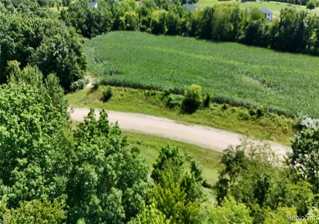 Homes for sale in Dryden, MI | Parcel 6 Sycamore St, Dryden, MI 48428 | MLS# 61007258