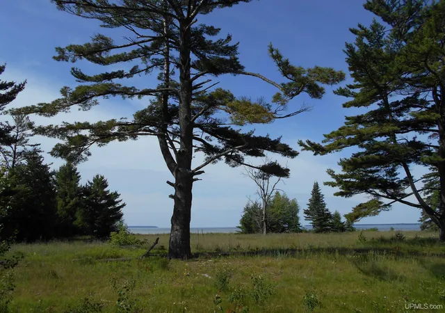 3rd image of 16167 Us Hwy 2 Rd, Cooks, MI 49817 | MLS# 50204933